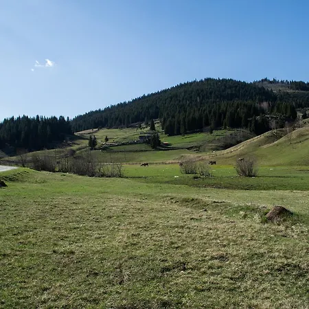 Lodge Brvnara Za Psiho Fizicki Restart *