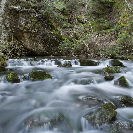 Lodge Brvnara Za Psiho Fizicki Restart