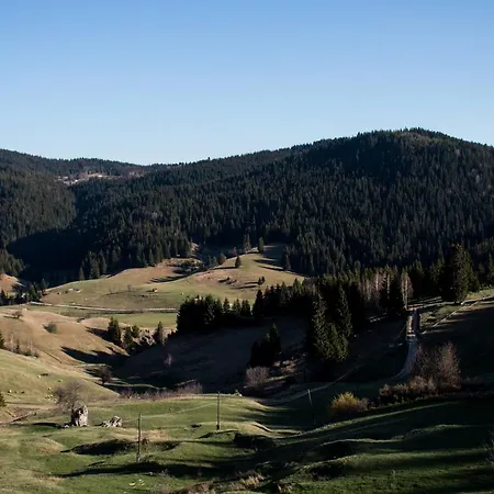 Lodge Brvnara Za Psiho Fizicki Restart Podgorica