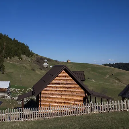 Brvnara Za Psiho Fizicki Restart *