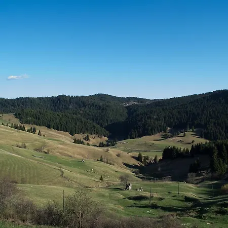 Lodge Brvnara Za Psiho Fizicki Restart Podgorica